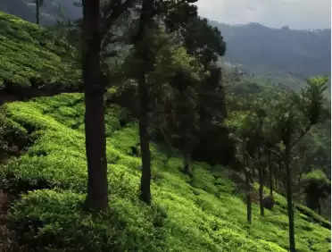 भारत की इस जगह आकर करें प्राकृतिक खूबसूरती को करीब से एक्सप्लोर, वीडियो देख नहीं होगा आंखों पर यकीन