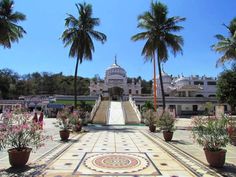 This may contain: an ornate walkway with potted plants and palm trees in front of a white building