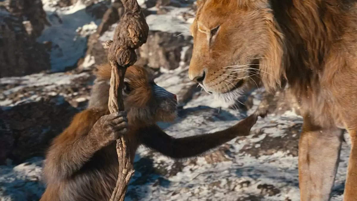 Mufasa- The Lion King Review: SRK-अबराम-और आर्यन की आवाज ने जमा दिया रंग, बच्चों के लिए बेस्ट एंटरटेनर फिल्म पढ़े रिव्यु