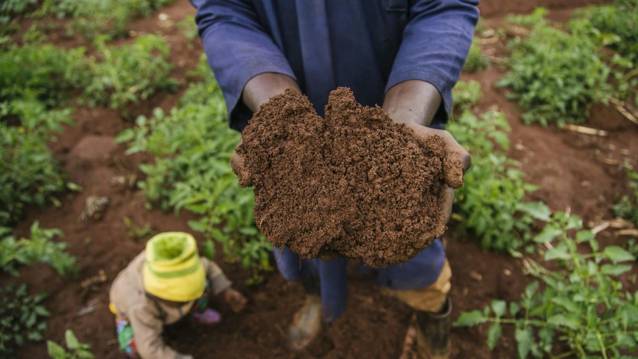 It is important to preserve the existence of soil