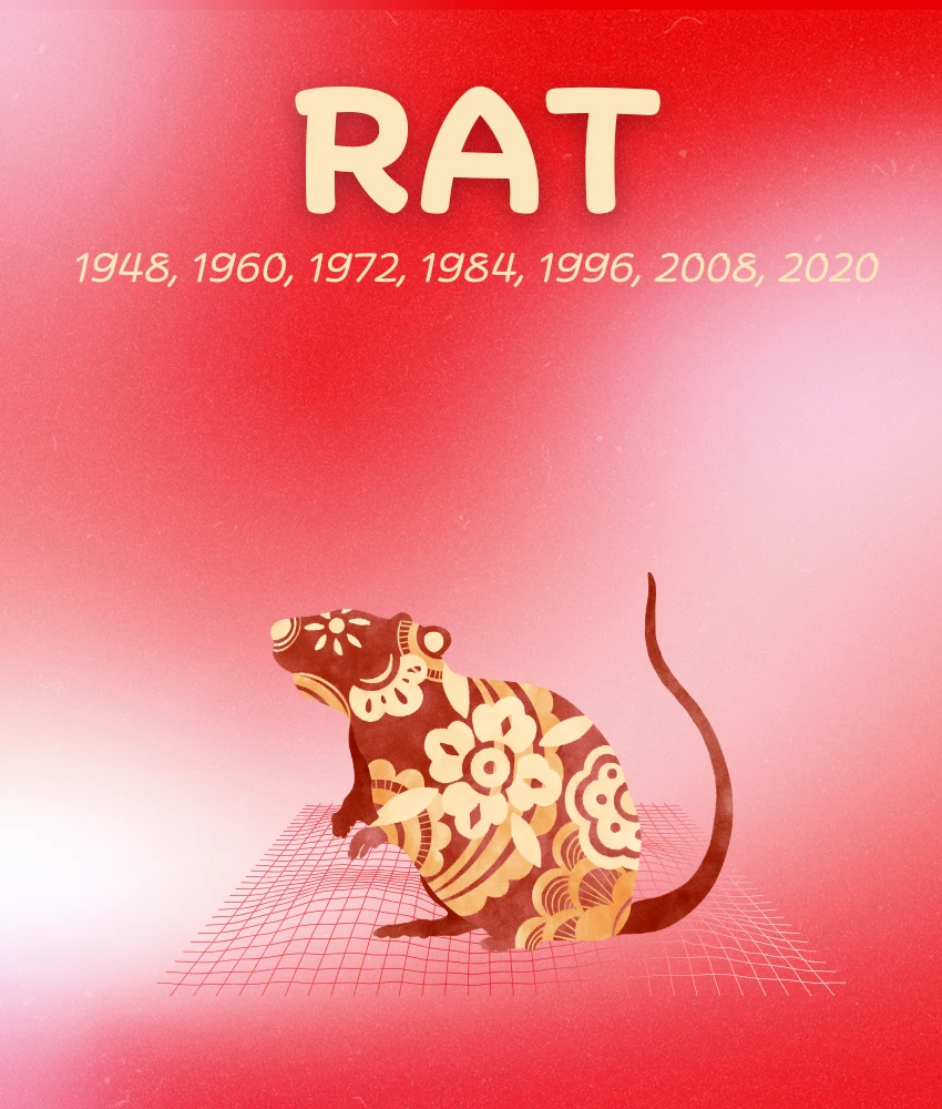 rat weekly chinese horoscopes zodiac signs december 8 - 14, 2025