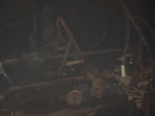 Due to the fire, all the goods kept inside the club were burnt.