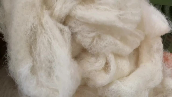 5 years of turning 'trash into silk' of a mechatronics engineer