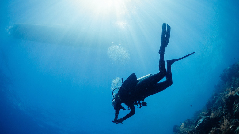 A scuba diver in the water with a boat visible above
