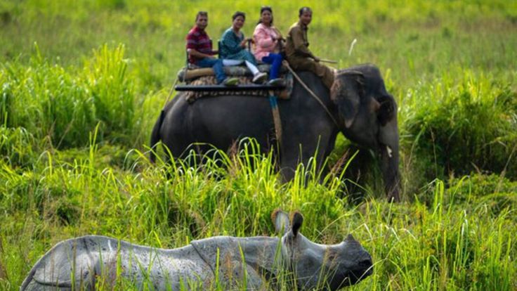 This may contain: people are riding on the back of an elephant