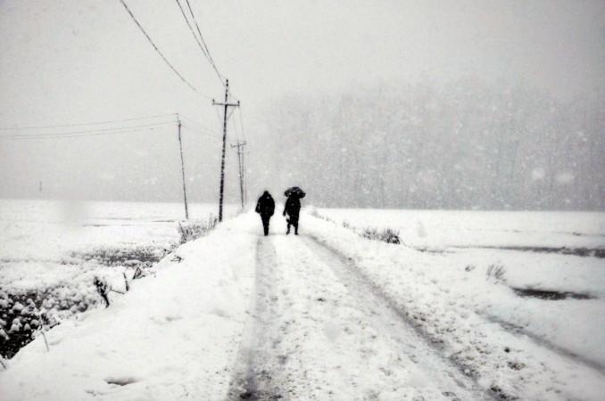 File picture of Kashmir snowfall. IANS Kashmir Snow fall