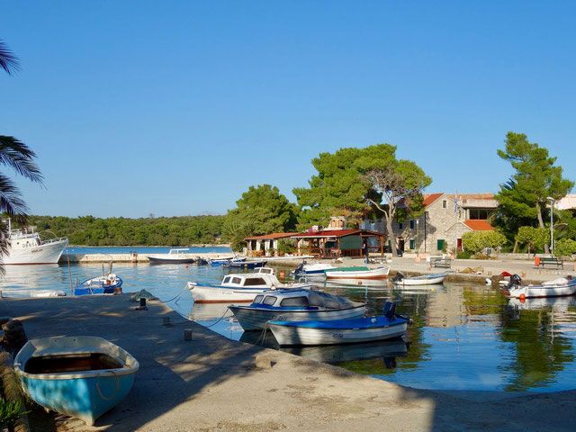 This may contain: several boats are docked in the water near some houses and trees, along with palm trees