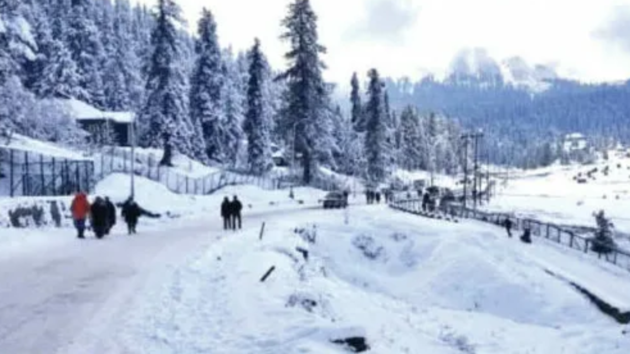 KILLING THE MUSKS (44)