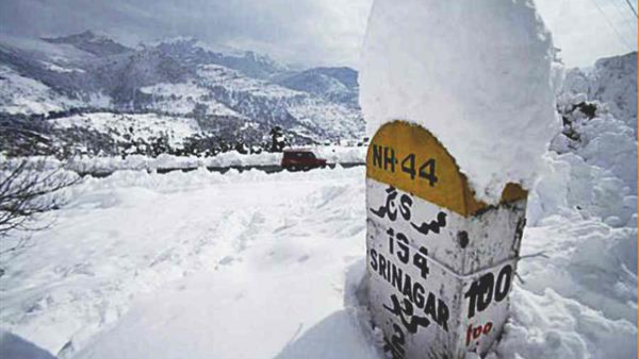 KILLING THE MUSKS (45)