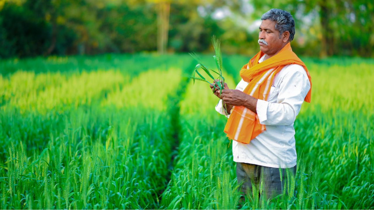 Farmers Scheme Update