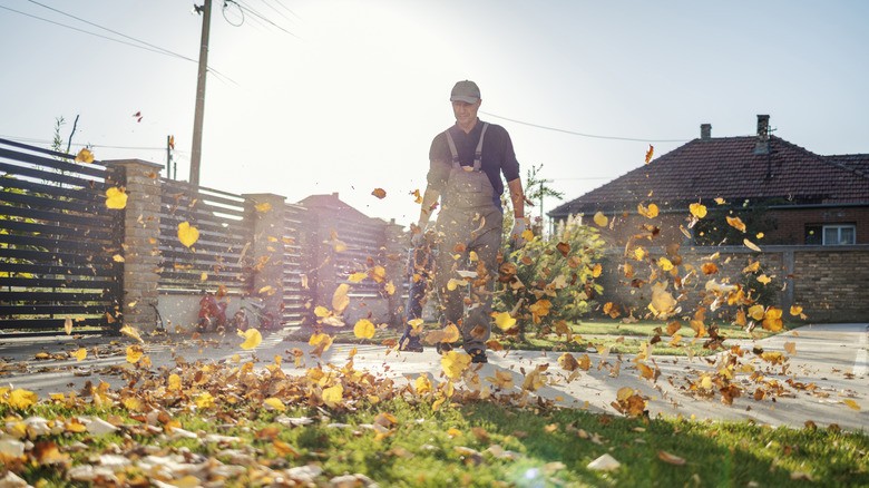 A person using a leaf blower in their yard, front view, sunny day
