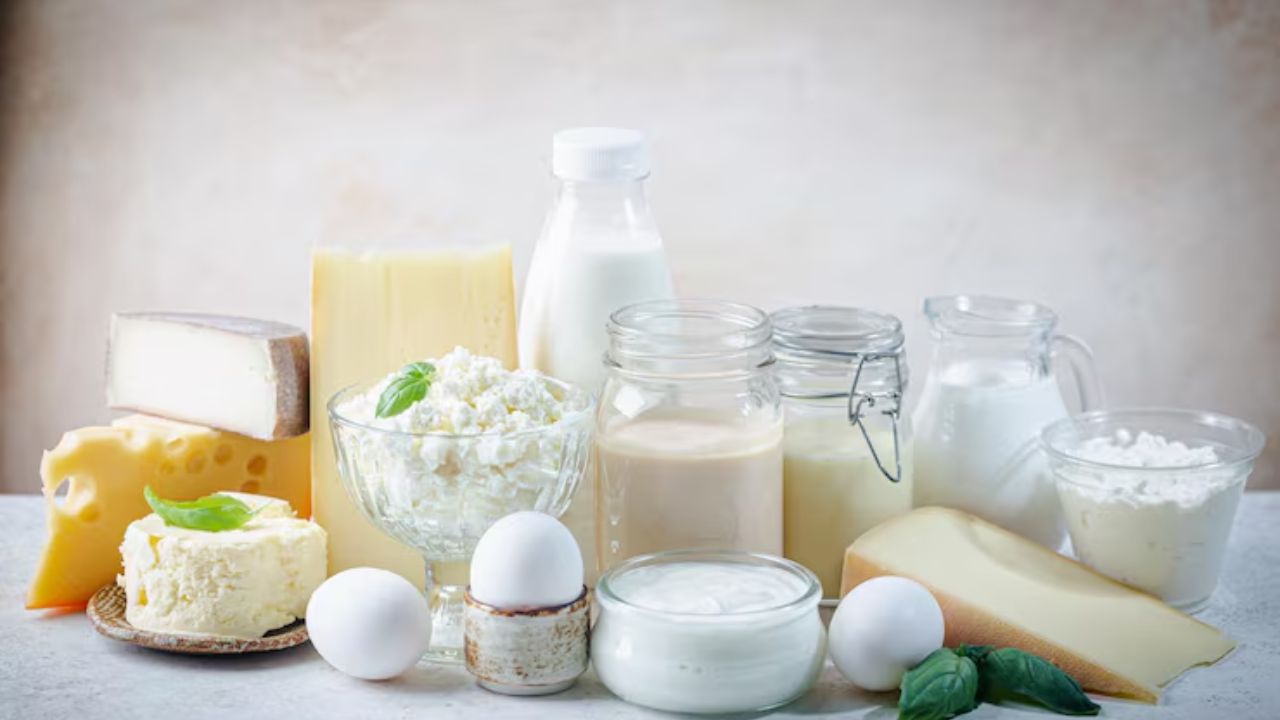 dairy products