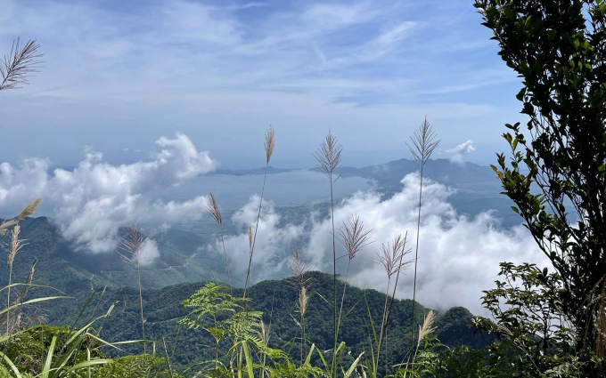 Lang Co Bay viewed from Bach Ma peak. Photo: Tam Anh