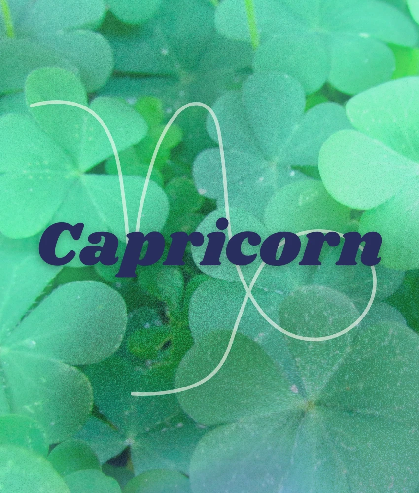 capricorn zodiac signs abundance luck december 29, 2025