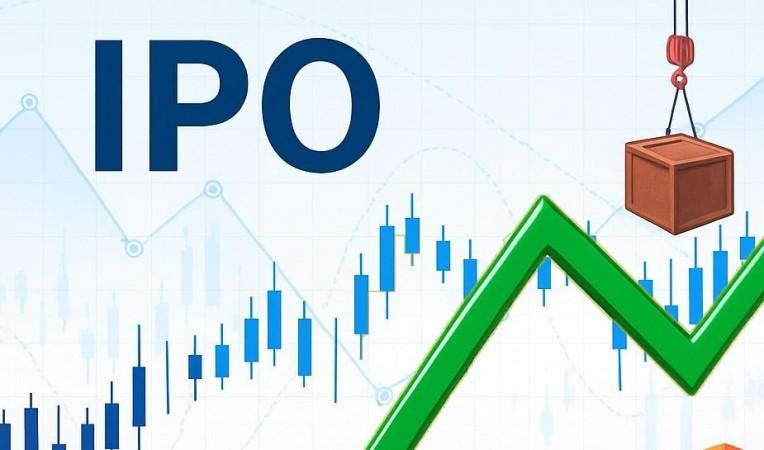 Mutual fund houses allocate Rs 5,294 crore in IPOs, backing small-cap growth stories