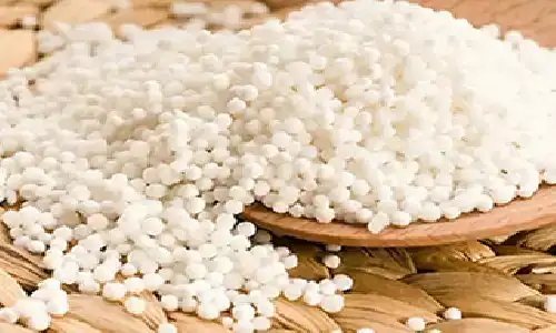 Sago: Amazing source of energy and nutrition