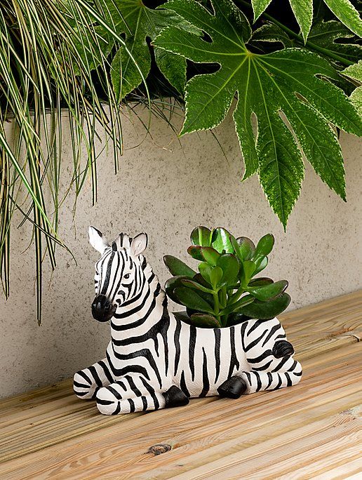 This may contain: a zebra planter sitting on top of a wooden table next to a potted plant