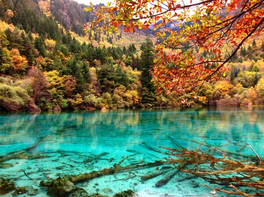 This may contain: the blue water is surrounded by trees with orange and green leaves on it's branches