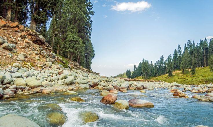 This may contain: a river with rocks and water running through it next to some trees on the side
