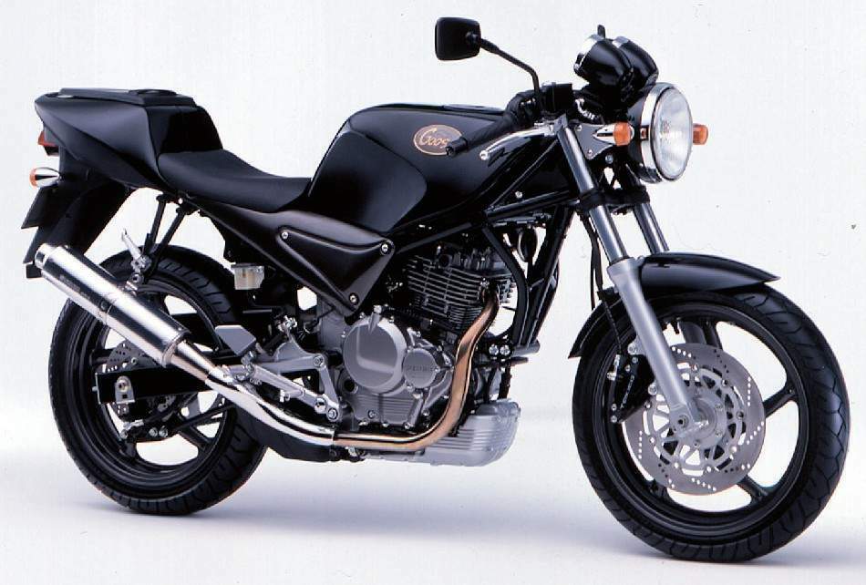 Suzuki SG 250N Goose (1991) technical specifications