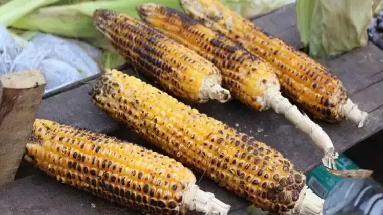What things to avoid after eating corn: Know the effects on health