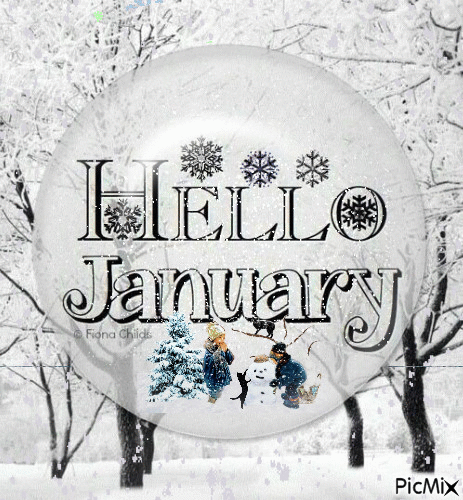 This may contain: a snow globe with the words hello january on it in front of trees and snow