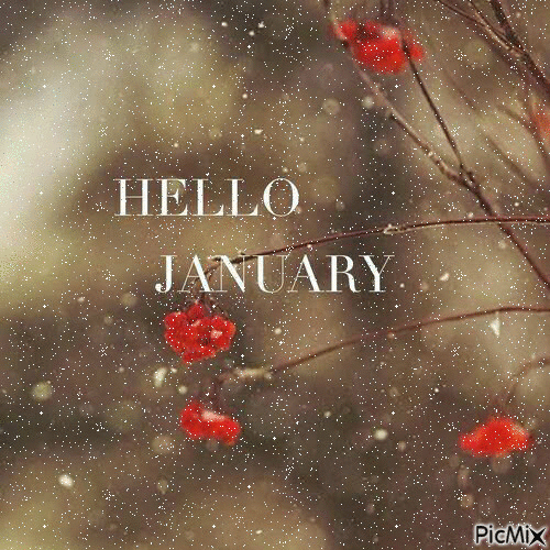 This may contain: the words hello january written on a window with red flowers and snow flakes in the background