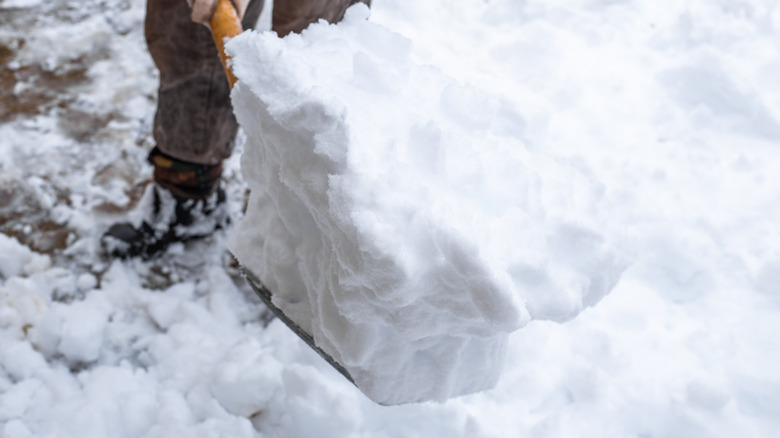 A person shoveling snow.