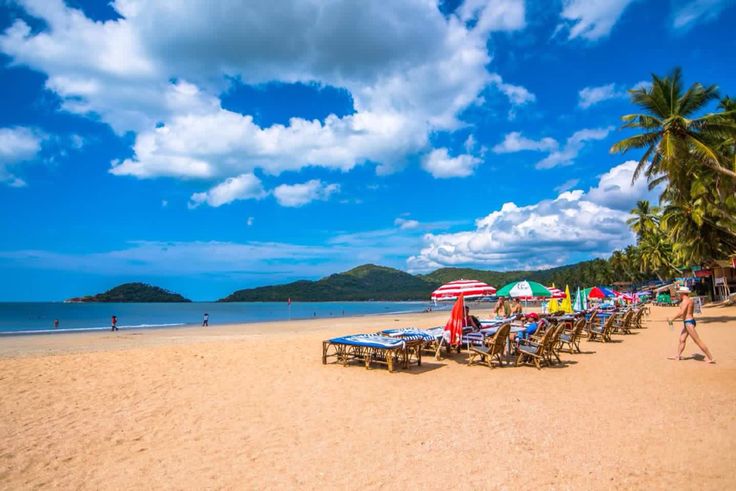 This may contain: beach chairs and umbrellas line the sand on a sunny day with palm trees in the background