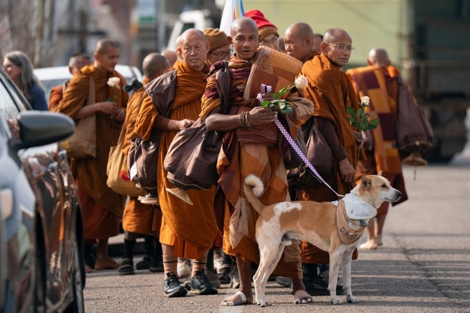 Buddhist monks who are participating in the, Walk For Peace, are seen with their dog, Aloka, Jan. 8, 2026, in Saluda, S.C.