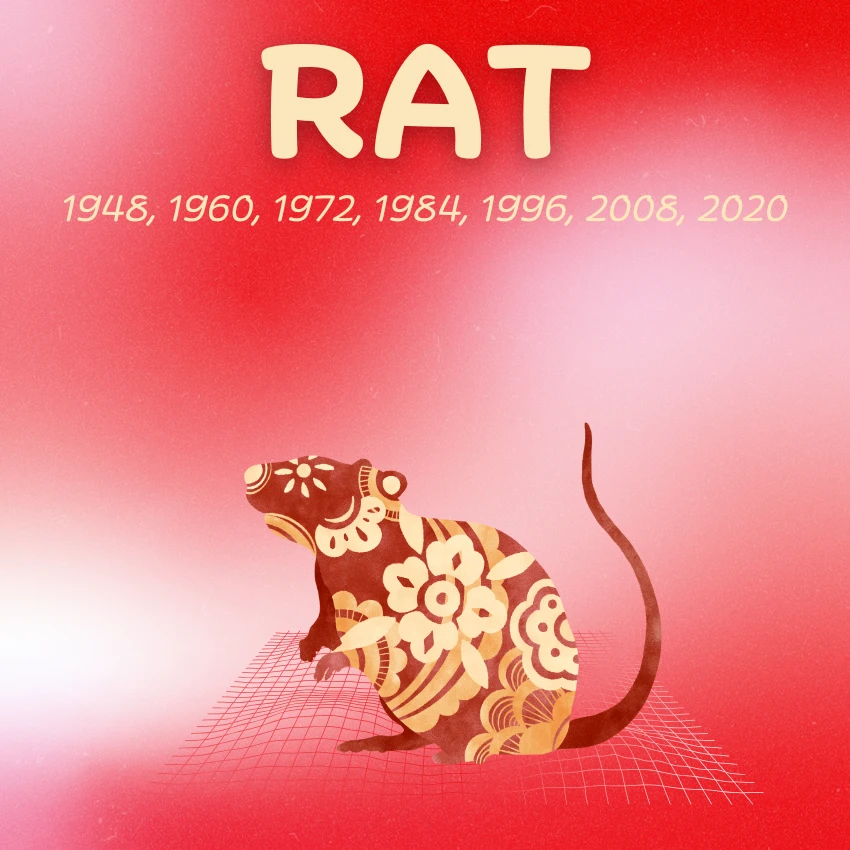 rat chinese zodiac signs luck good fortune January 25 2026