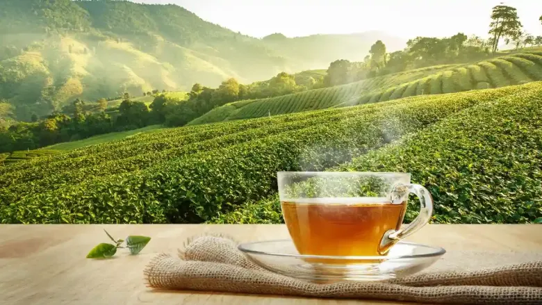 That is a beautiful image! It shows a clear glass cup of steaming hot tea resting on a wooden surface, with a picturesque background of lush green rolling hills covered in tea plantations