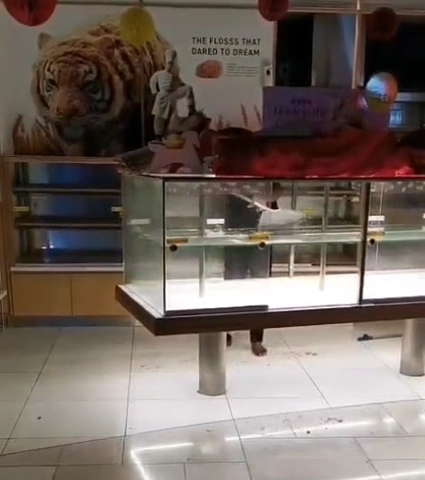 A worker seen cleaning BreadTalk display shelves with a broom. Screenshot taken from a video on Complaint Singapore Facebook group