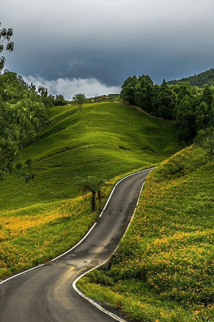 This may contain: a winding road in the middle of a lush green hillside
