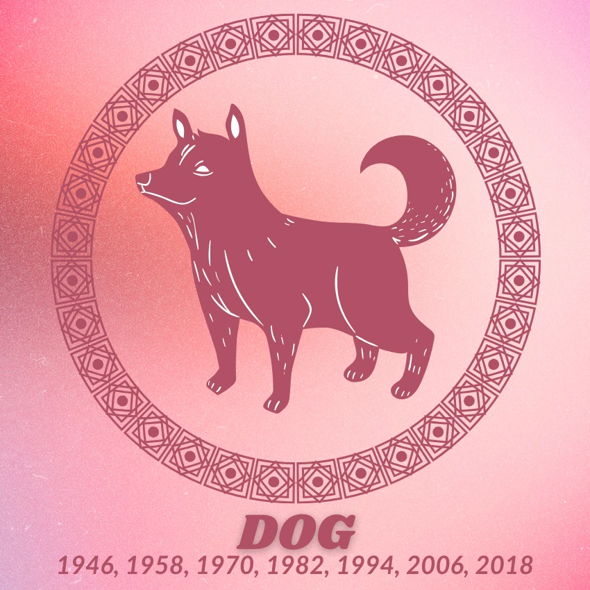 dog chinese zodiac signs wealth success February 17 2026