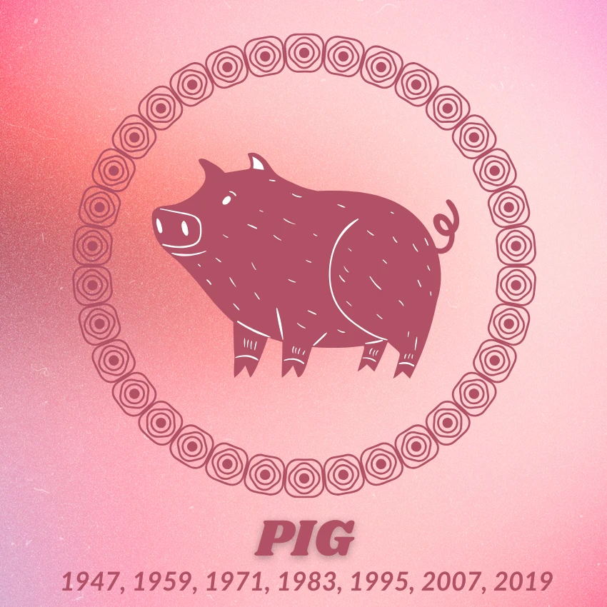 pig chinese zodiac signs luck prosperity February 19 2026