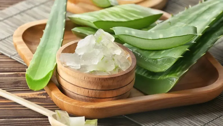 Aloevera leaves and a small bowl of aloevera gel on a wooden tray.
