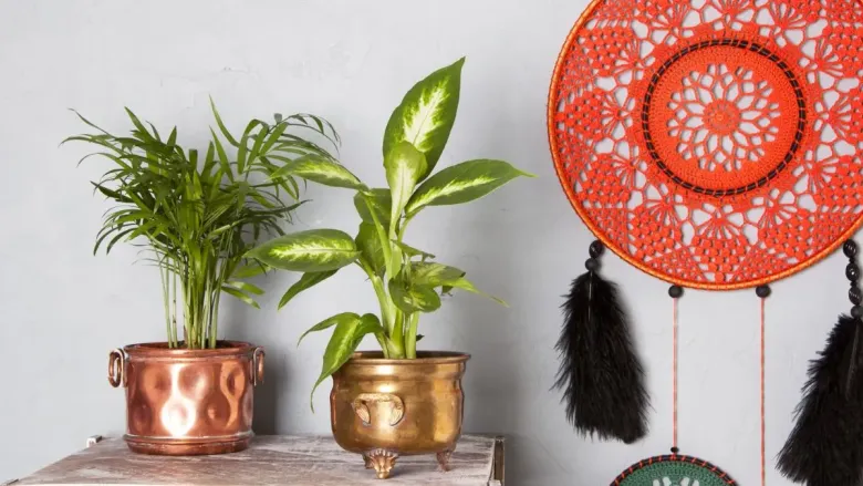 Two decorative indoor plants in metallic pots are placed on a wooden surface. On the wall beside them hangs a large orange crocheted dreamcatcher with black feathers.