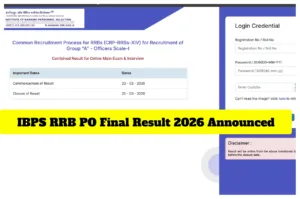 IBPS RRB PO Final Result 2026 Announced - Download Officer Scale 1, 2 & 3 Result at ibps.in in Education category