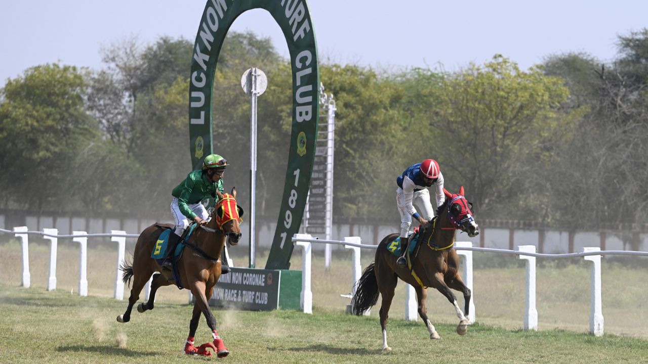 KILLING THE MUSKS (46)