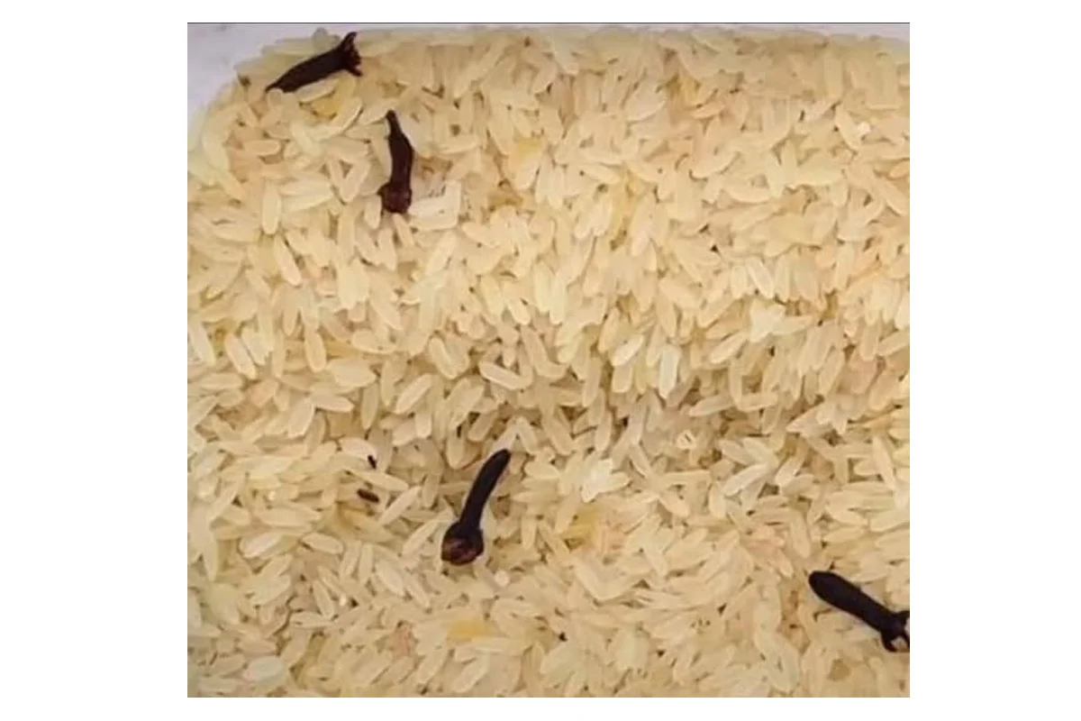 Lifestyle Tips: Protect stored rice from insects with these 4 easy tips