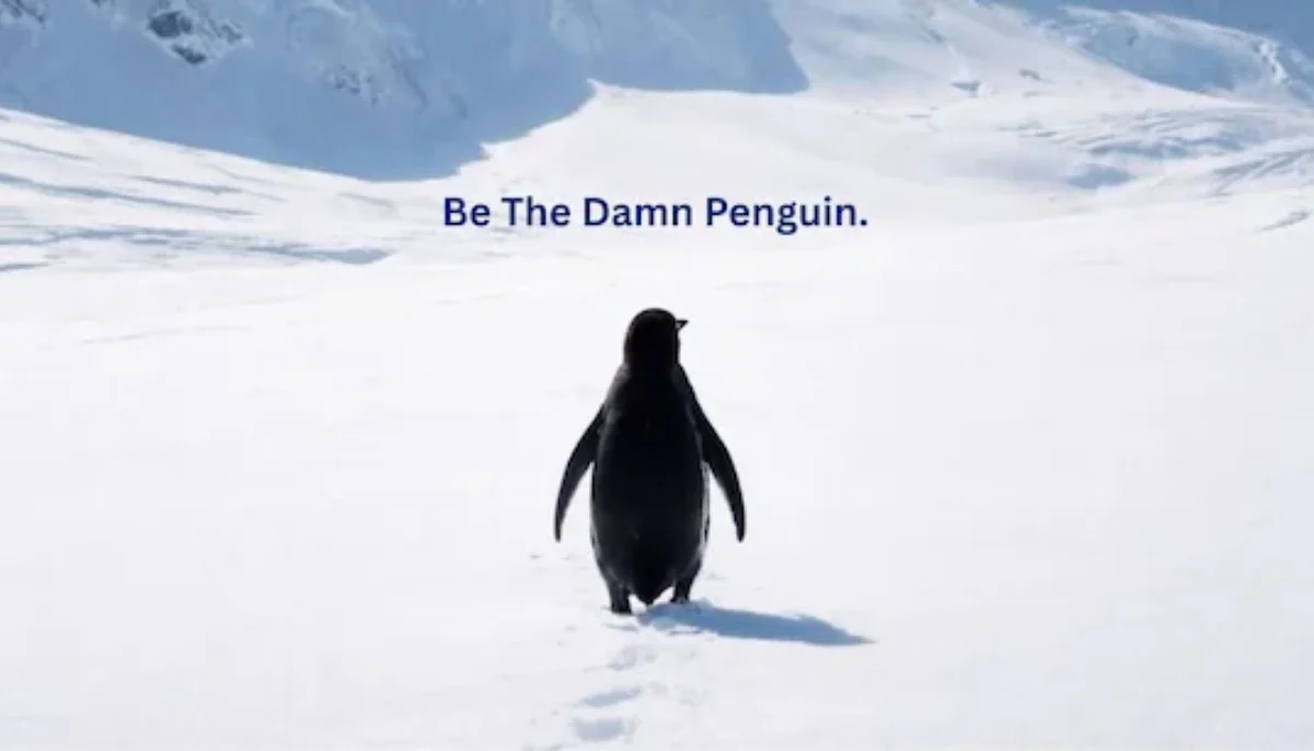 Viral video controversies: Payal Gaming MMS, Ajaz deepfake & Punch monkey