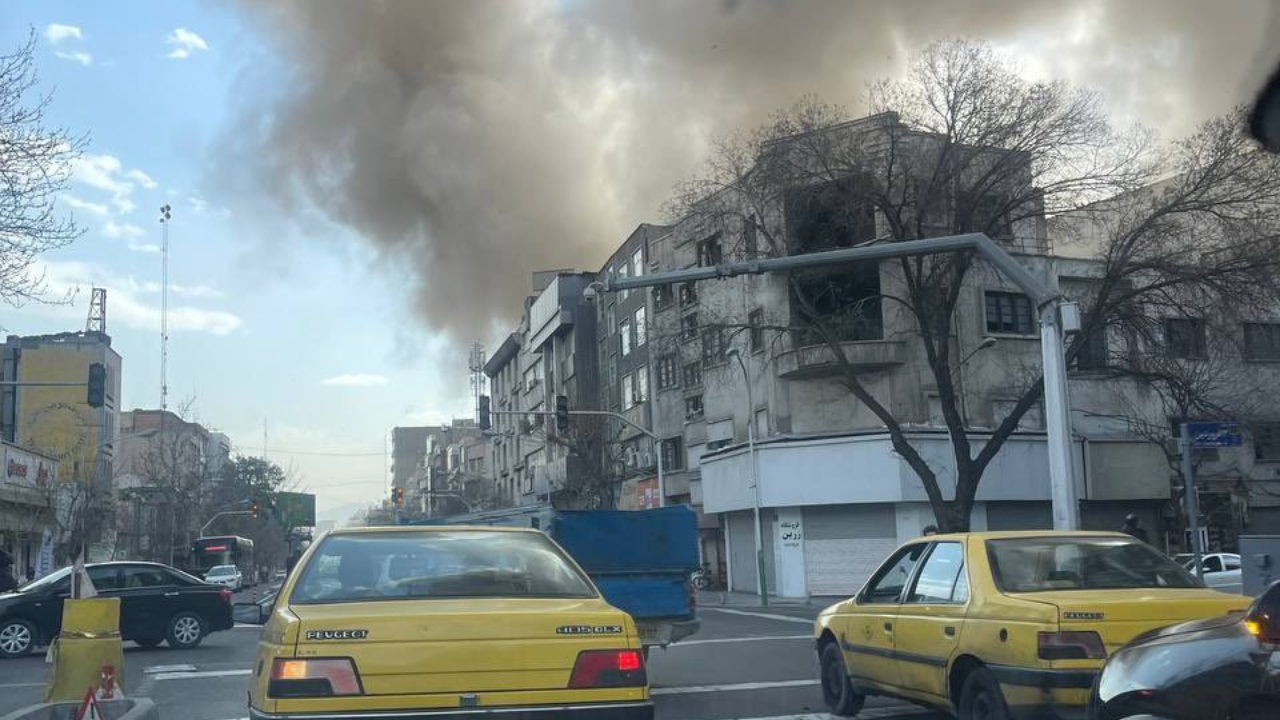 KILLING THE MUSKS (32)