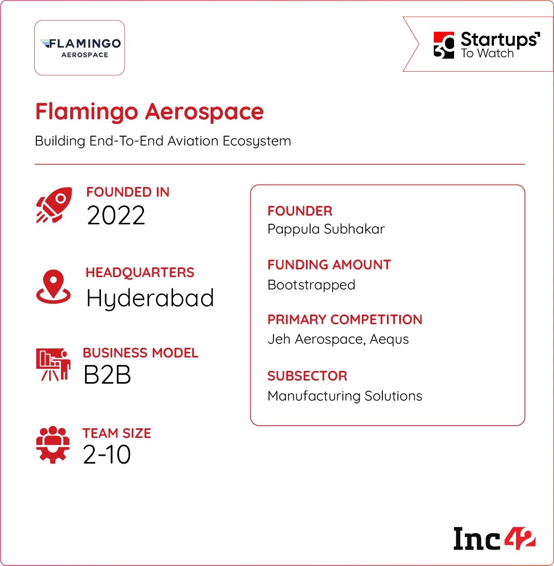 can Flamingo dominate India's skies with fully indigenous jets? 