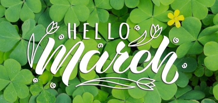 This may contain: the words hello march are surrounded by green clovers and yellow flower petals in this st patrick's day greeting card