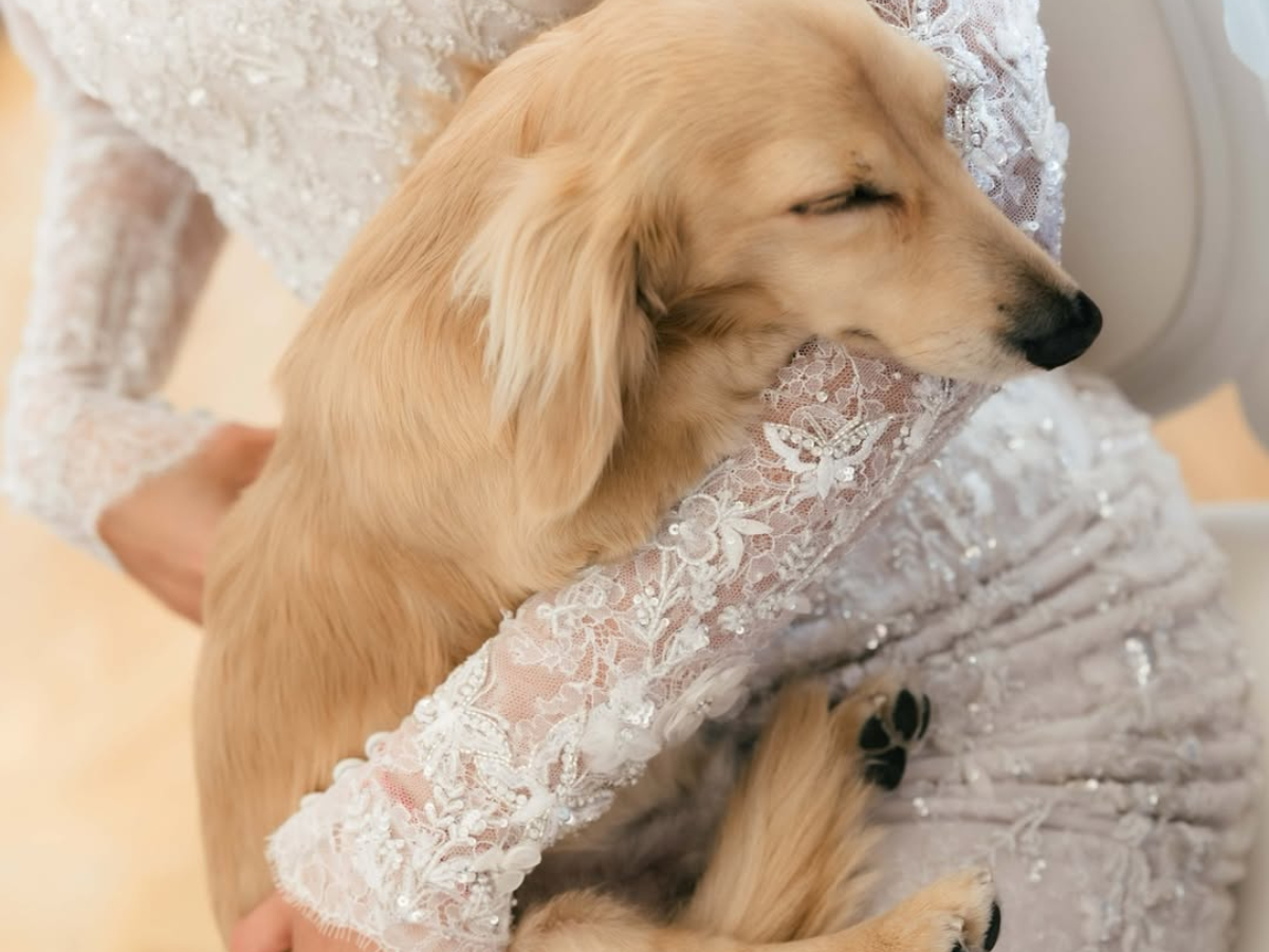 Leo Charles Leclercs dog