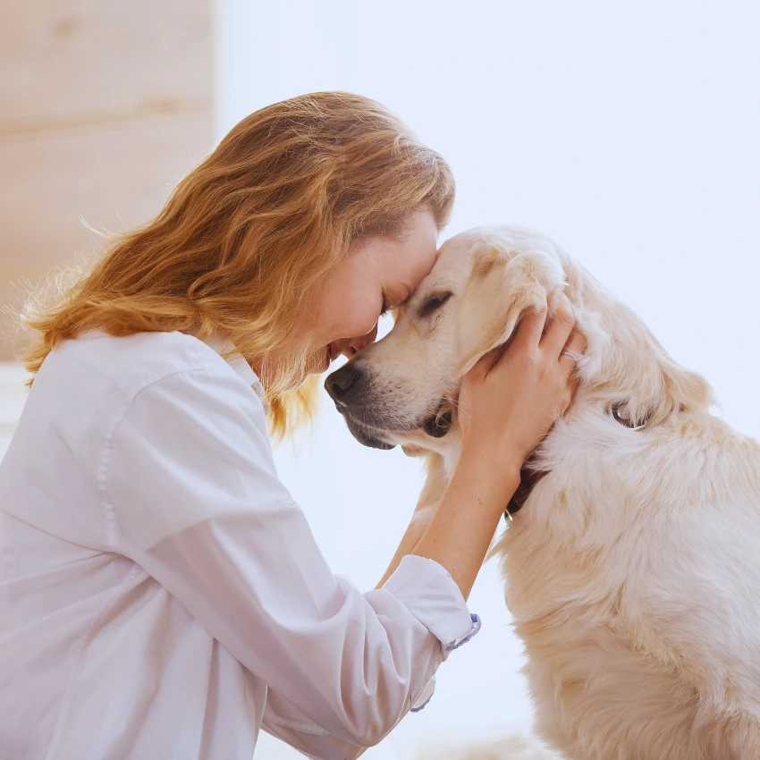 dog that can detect cancer nuzzling woman