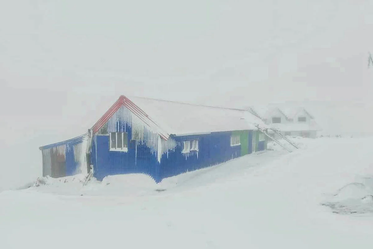 Heavy snowfall in Sandakphu, Darjeeling