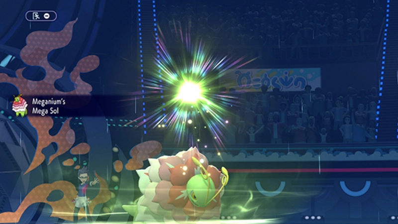 Pokemon Champions fighting Pokémon Champions