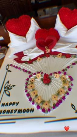 Nupur Sanon–Stebin Ben lock lips under northern lights on Finland honeymoon; fans call kissing pics 'cringe'